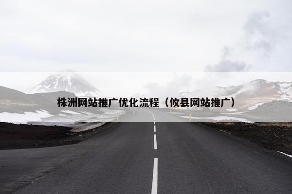 株洲网站推广优化流程（攸县网站推广）