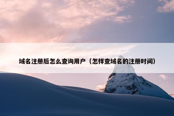 域名注册后怎么查询用户（怎样查域名的注册时间）