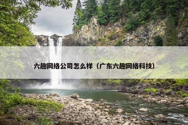 六趣网络公司怎么样（广东六趣网络科技）
