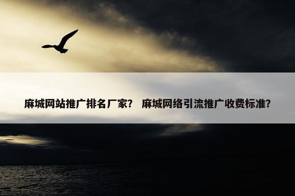 麻城网站推广排名厂家？ 麻城网络引流推广收费标准？