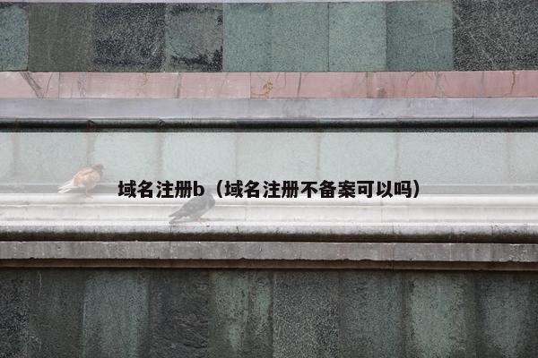 域名注册b（域名注册不备案可以吗）