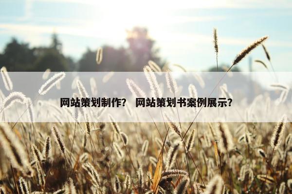 网站策划制作？ 网站策划书案例展示？