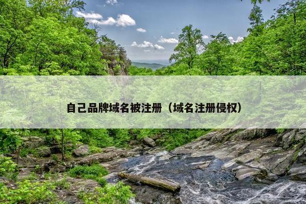 自己品牌域名被注册（域名注册侵权）