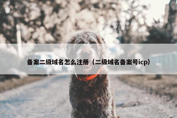 备案二级域名怎么注册（二级域名备案号icp）