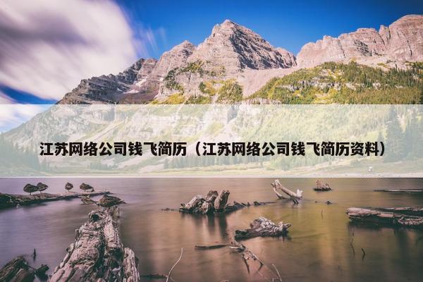 江苏网络公司钱飞简历（江苏网络公司钱飞简历资料）