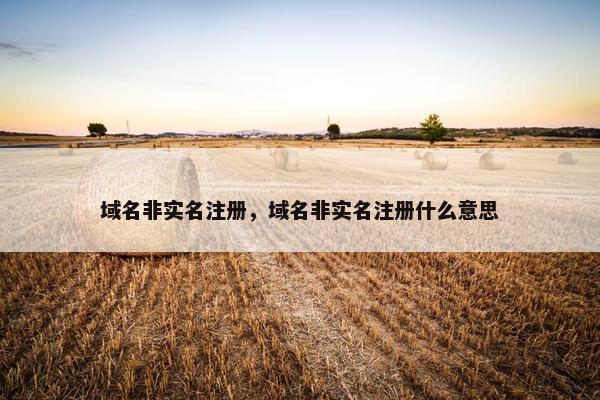 域名非实名注册，域名非实名注册什么意思