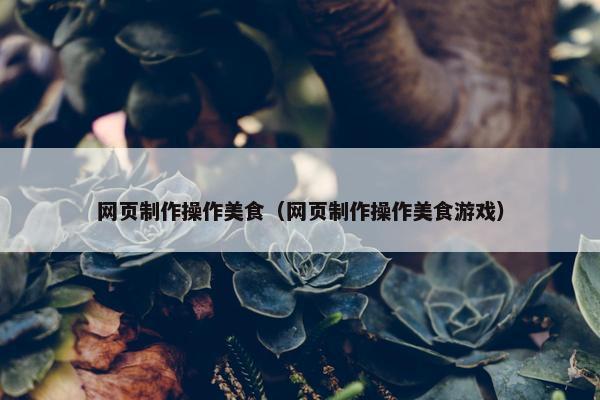 网页制作操作美食（网页制作操作美食游戏）