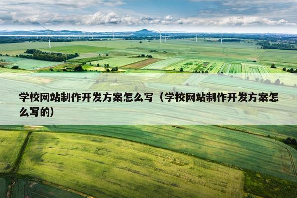 学校网站制作开发方案怎么写（学校网站制作开发方案怎么写的）