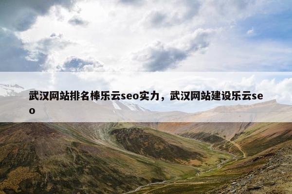 武汉网站排名棒乐云seo实力，武汉网站建设乐云seo