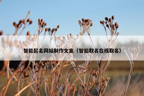 智能起名网站制作文案（智能取名在线取名）