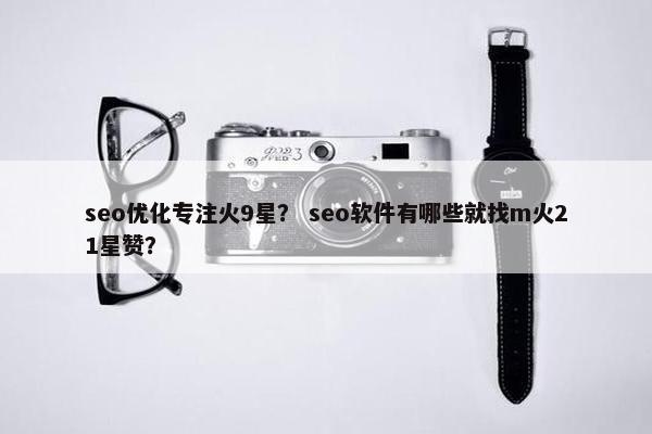 seo优化专注火9星？ seo软件有哪些就找m火21星赞？