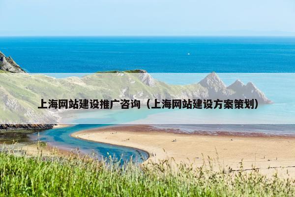 上海网站建设推广咨询（上海网站建设方案策划）