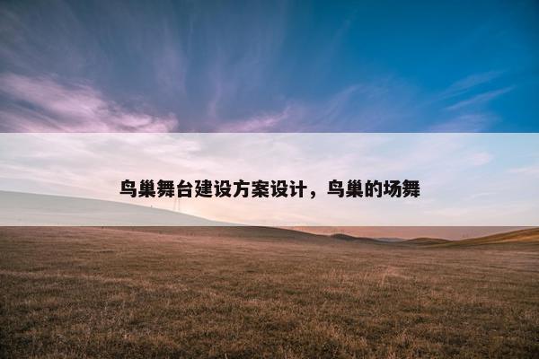 鸟巢舞台建设方案设计，鸟巢的场舞
