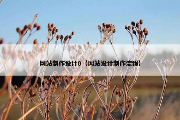 网站制作设计0（网站设计制作流程）