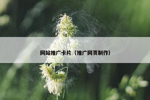 网站推广卡片（推广网页制作）