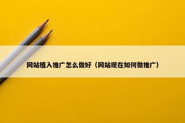网站植入推广怎么做好（网站现在如何做推广）