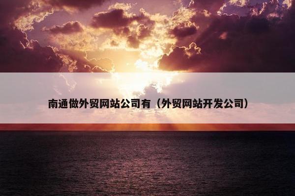 南通做外贸网站公司有（外贸网站开发公司）