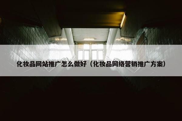 化妆品网站推广怎么做好（化妆品网络营销推广方案）