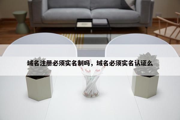 域名注册必须实名制吗，域名必须实名认证么