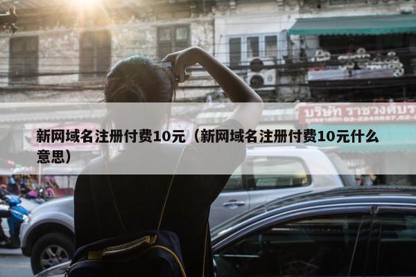 新网域名注册付费10元（新网域名注册付费10元什么意思）