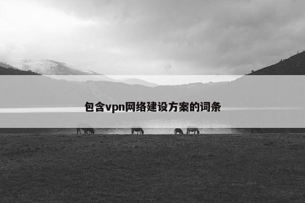 包含vpn网络建设方案的词条