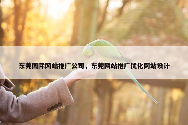 东莞国际网站推广公司，东莞网站推广优化网站设计