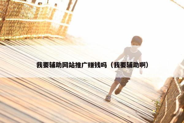 我要辅助网站推广赚钱吗（我要辅助啊）