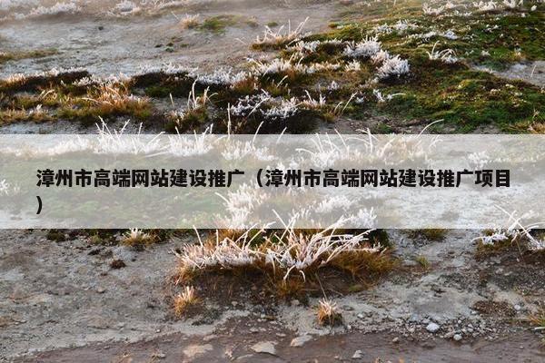 漳州市高端网站建设推广（漳州市高端网站建设推广项目）