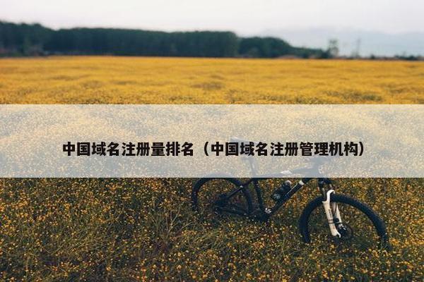 中国域名注册量排名（中国域名注册管理机构）