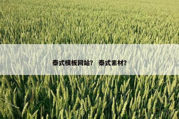 泰式模板网站？ 泰式素材？
