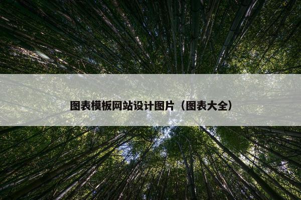 图表模板网站设计图片（图表大全）