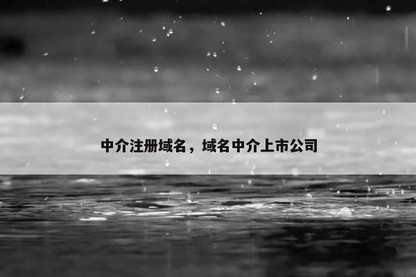 中介注册域名，域名中介上市公司