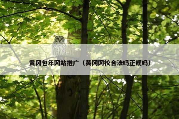 黄冈包年网站推广（黄冈网校合法吗正规吗）