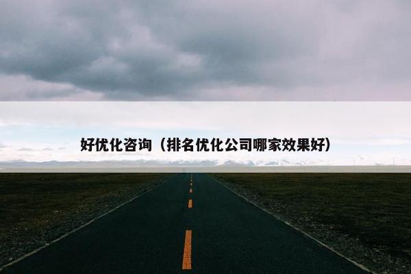 好优化咨询（排名优化公司哪家效果好）