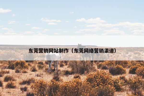 东莞营销网站制作（东莞网络营销渠道）