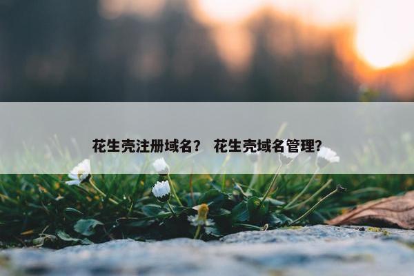 花生壳注册域名？ 花生壳域名管理？