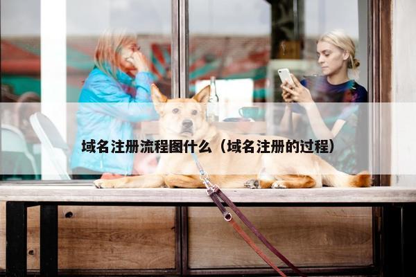 域名注册流程图什么（域名注册的过程）