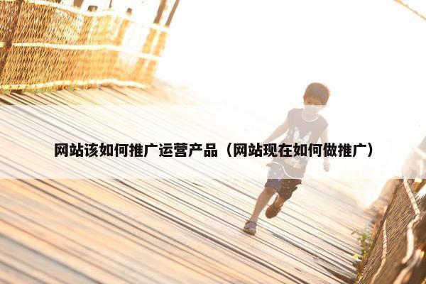 网站该如何推广运营产品（网站现在如何做推广）