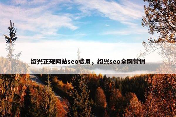 绍兴正规网站seo费用，绍兴seo全网营销