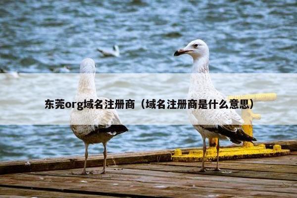 东莞org域名注册商（域名注册商是什么意思）