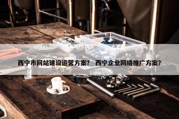 西宁市网站建设运营方案？ 西宁企业网络推广方案？