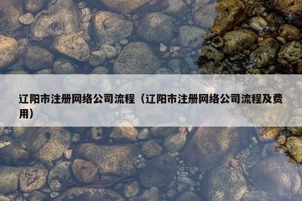 辽阳市注册网络公司流程（辽阳市注册网络公司流程及费用）