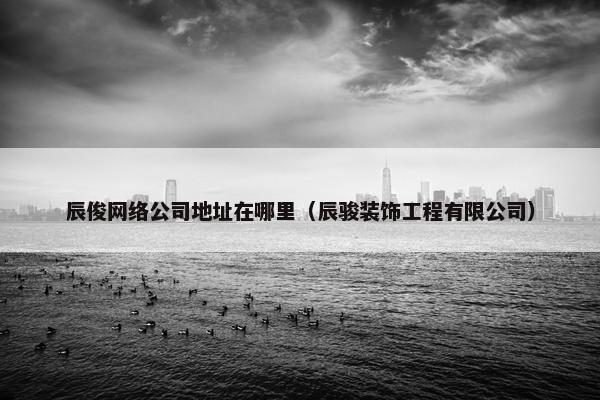 辰俊网络公司地址在哪里（辰骏装饰工程有限公司）