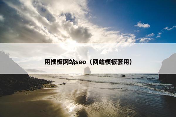 用模板网站seo（网站模板套用）