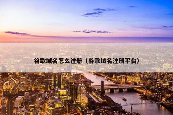 谷歌域名怎么注册（谷歌域名注册平台）