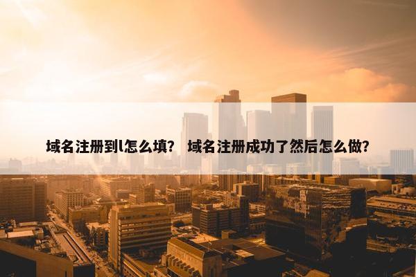 域名注册到l怎么填？ 域名注册成功了然后怎么做？