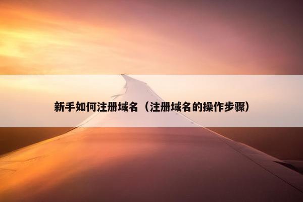 新手如何注册域名（注册域名的操作步骤）