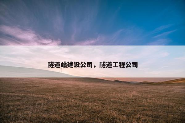 隧道站建设公司，隧道工程公司