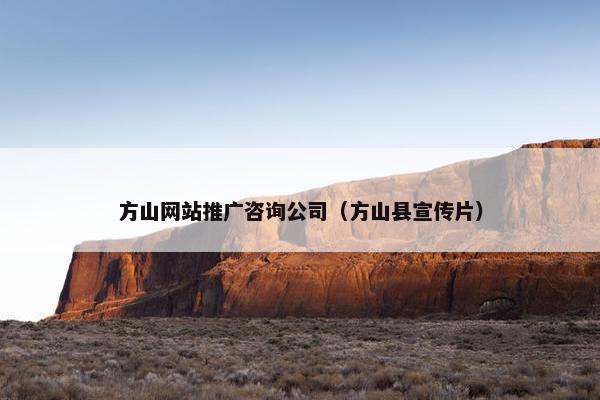 方山网站推广咨询公司（方山县宣传片）
