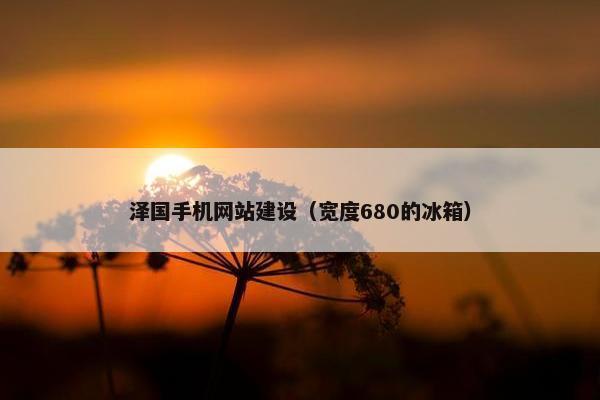 泽国手机网站建设（宽度680的冰箱）